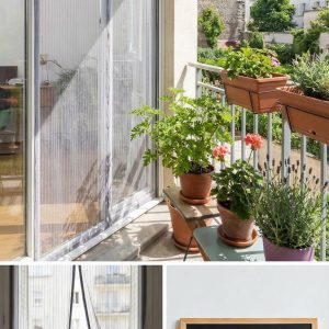 Comment protéger son balcon et ses fenêtres des moustiques tigres en appartement : solutions simples et efficaces