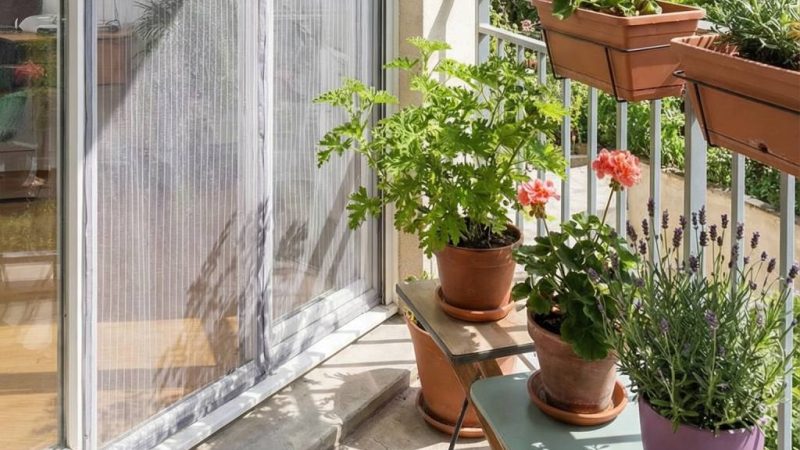 Comment protéger son balcon et ses fenêtres des moustiques tigres en appartement : solutions simples et efficaces