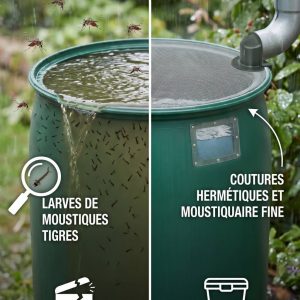 Moustique tigre et récupérateurs d’eau de pluie : pourquoi ils prolifèrent et comment les prévenir efficacement