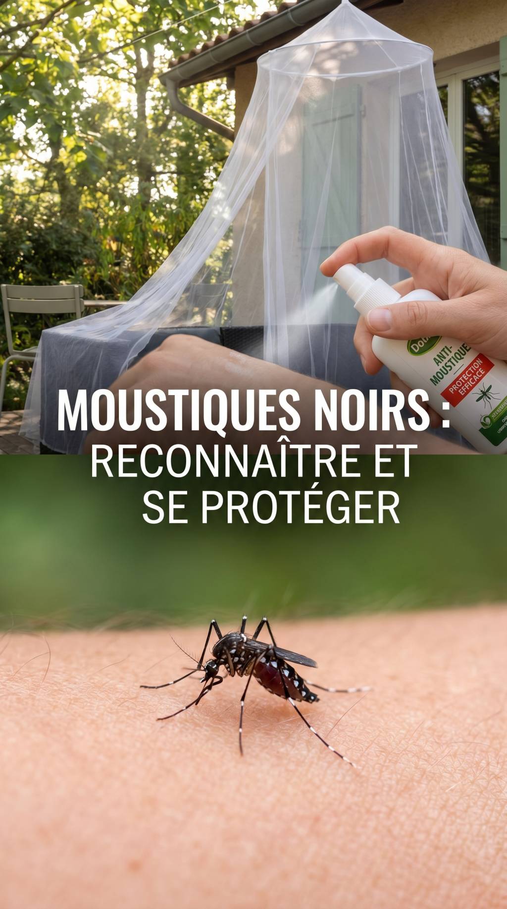 Moustiques noirs : comment les reconnaître et s’en protéger efficacement