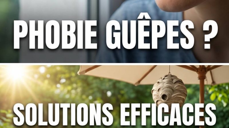 Phobi guêpes : solutions efficaces pour éloigner les guêpes de votre maison