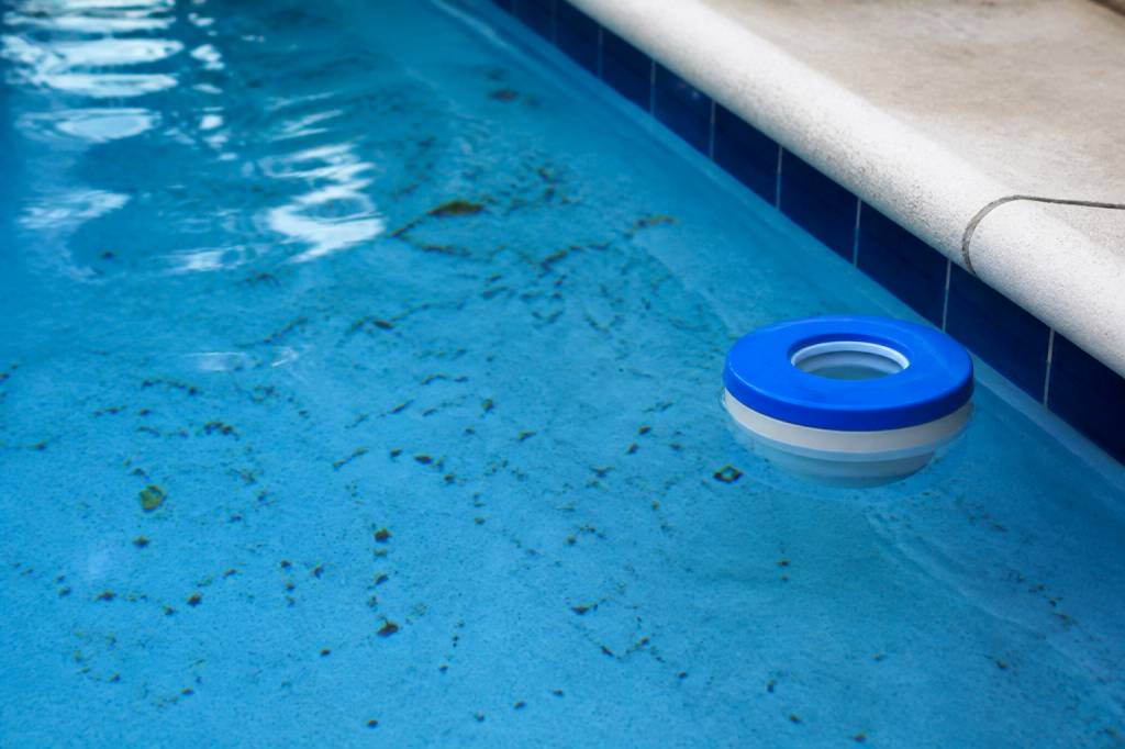 Larve moustique dans piscine : comment les reconnaître et les éliminer efficacement