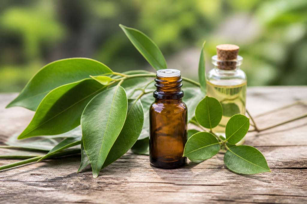 Huiles essentielles ravintsara : vertues et usages contre les moustiques