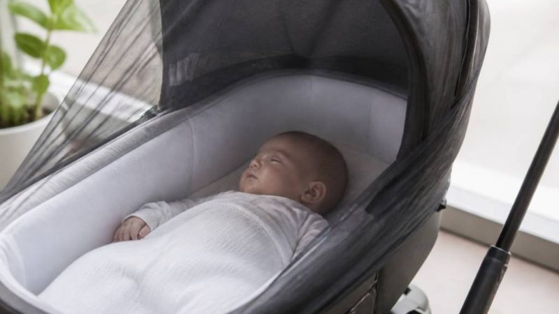 Moustique tigre bebe : comment protéger un nourrisson efficacement