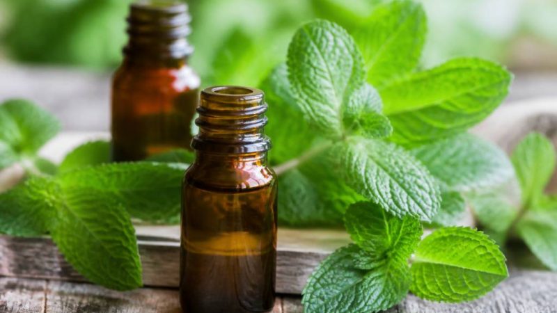 Comment utiliser l&rsquo;huile essentielle de menthe poivrée