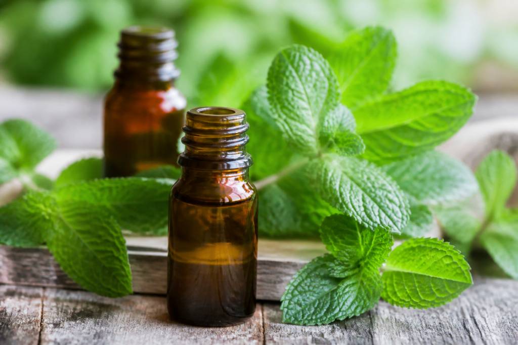 Comment utiliser l&rsquo;huile essentielle de menthe poivrée