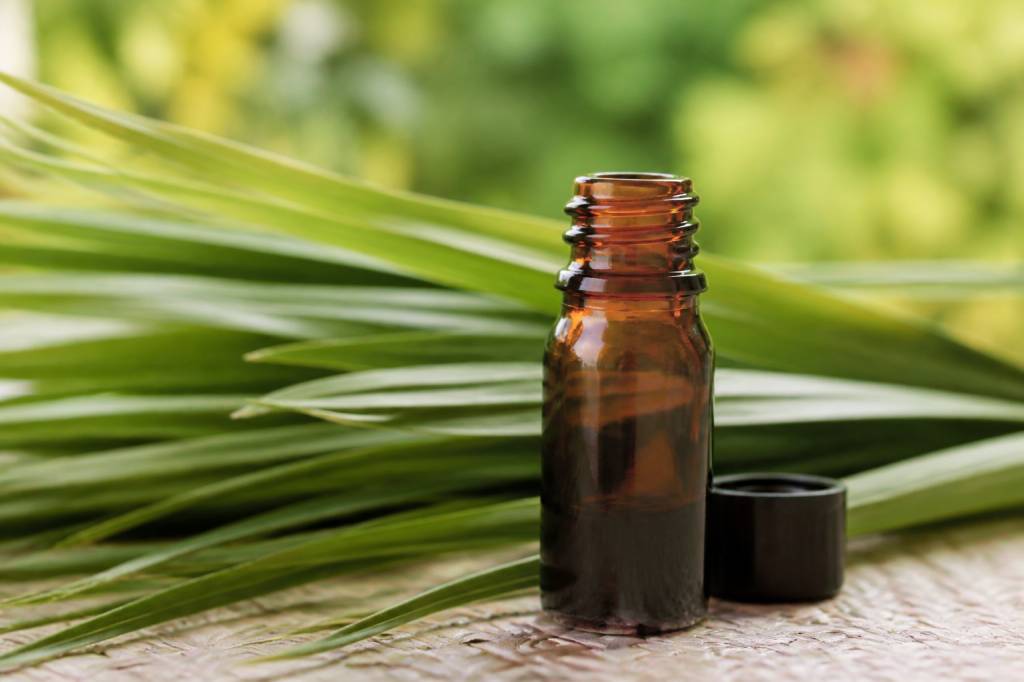 Huile essentielle palmarosa comment l utiliser contre les moustiques efficacement