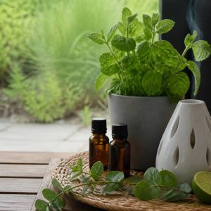 Repulsif naturel contre les moustiques : solutions efficaces pour protéger votre maison
