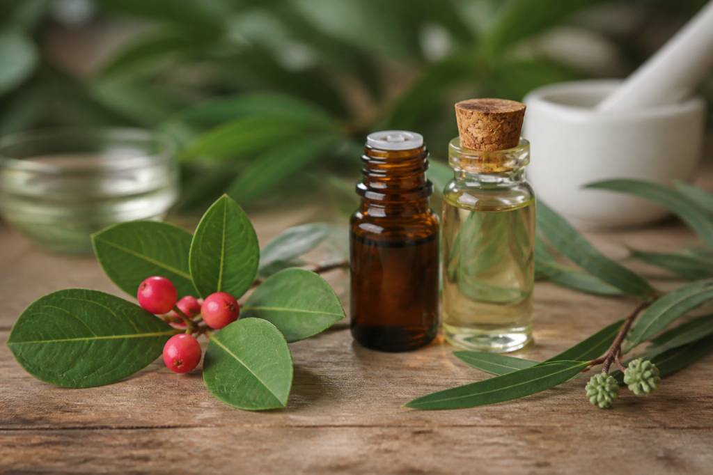 Mélange huile essentielle gaulthérie et eucalyptus citronné contre les moustiques : usages, précautions et efficacité