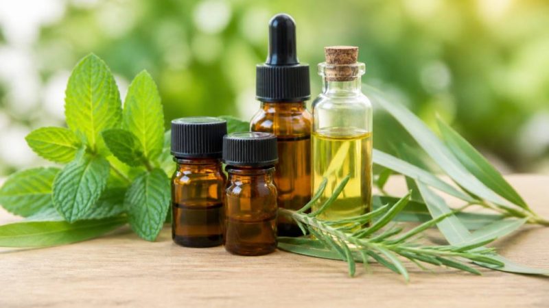 Définition des huiles essentielles contre les moustiques