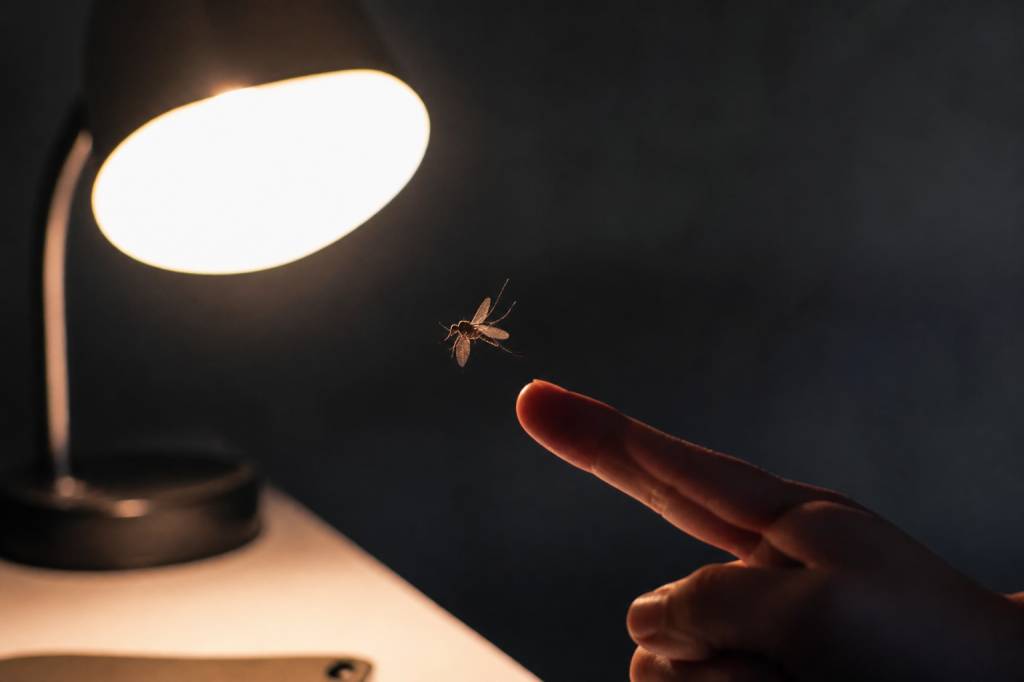Attirer un moustique pour le tuer efficacement