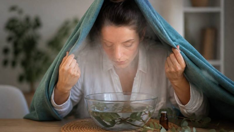 Inhalation eucalyptus radié contre les moustiques : mode d’emploi et bienfaits