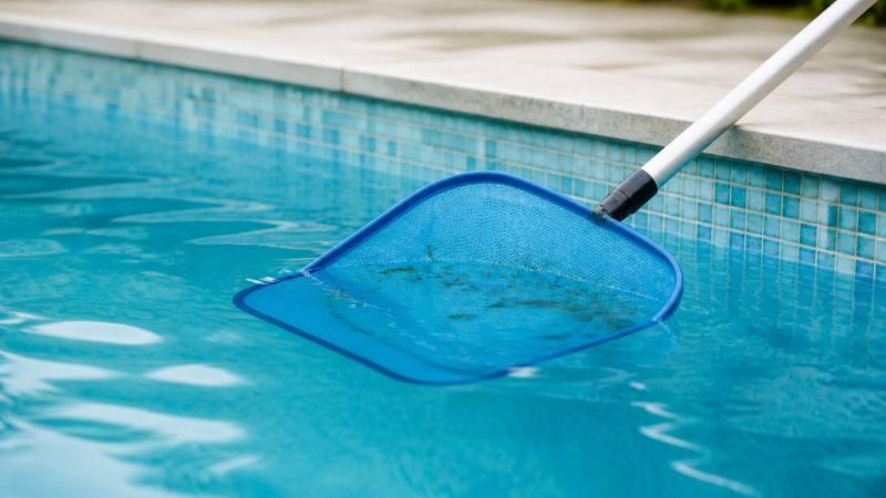 Larves piscine : comment les éliminer et éviter leur prolifération
