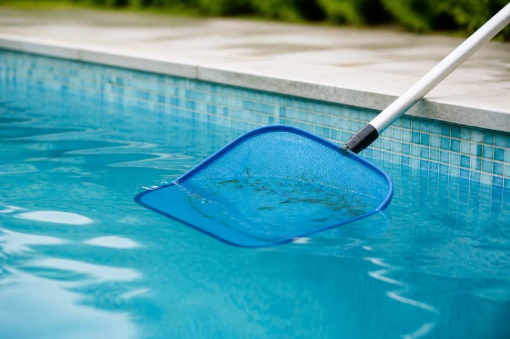 Larves piscine : comment les éliminer et éviter leur prolifération