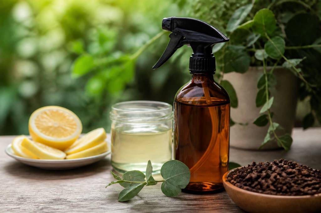 Recette anti moustiques : astuces naturelles pour protéger la maison