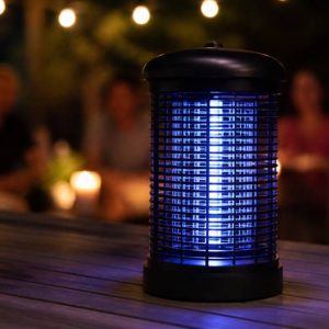 Moustique lumière : comment choisir une lampe anti-moustiques efficace