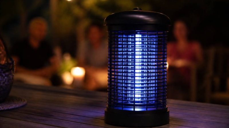 Moustique lumière : comment choisir une lampe anti-moustiques efficace