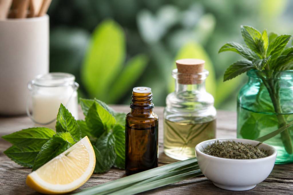 Anti moustiques fait maison : les solutions naturelles les plus efficaces