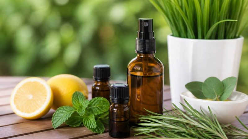 Recette anti moustique maison : une solution naturelle et efficace pour les éloigner