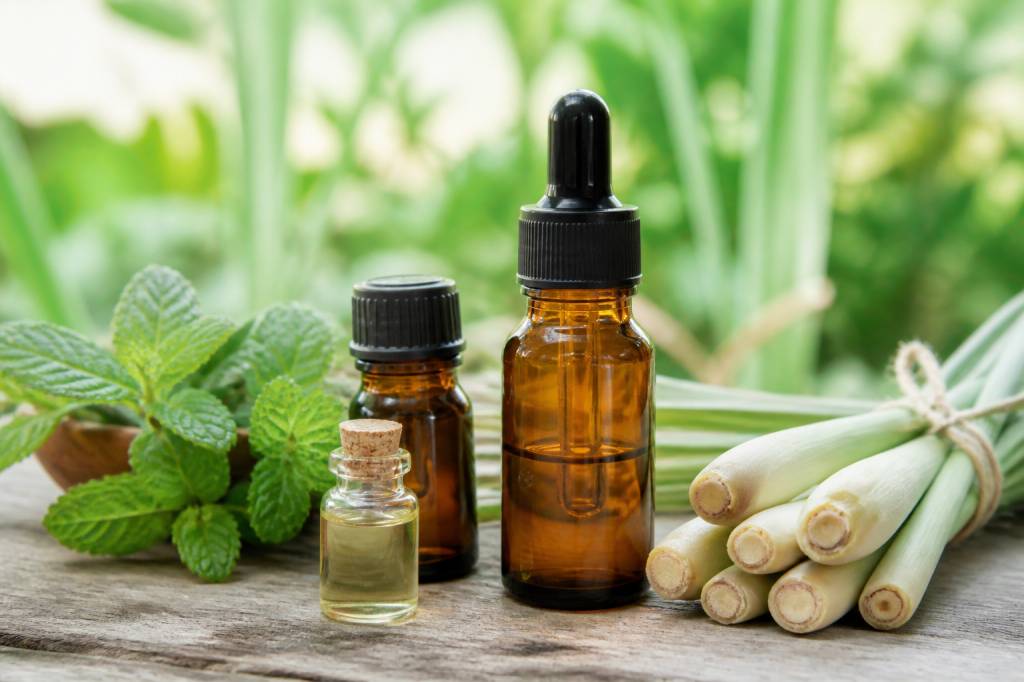 Quelle odeur fait fuir les moustiques ? Les répulsifs naturels les plus efficaces