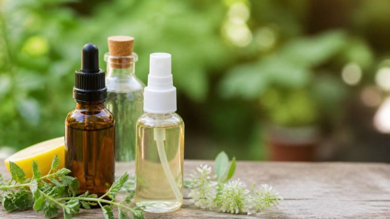 Recette anti-moustique à base d’huile essentielle : préparation et conseils d’utilisation