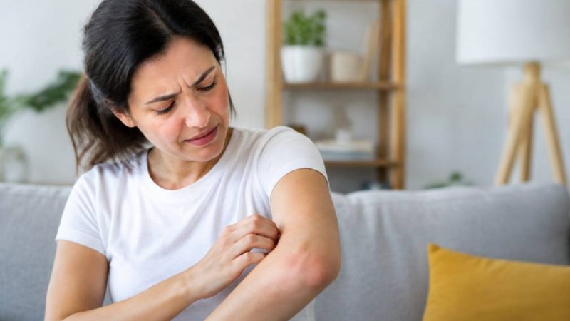 Moucherons qui piquent : que faire pour s’en débarrasser ?