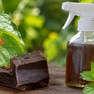 Araignée rouge et savon noir : comment traiter une infestation naturellement