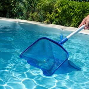 Larves dans piscine : comment les éliminer efficacement ?