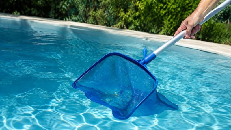 Larves dans piscine : comment les éliminer efficacement ?