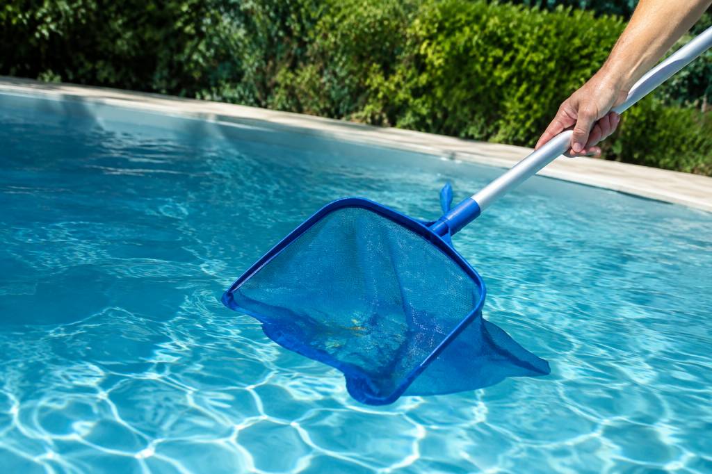 Larves dans piscine : comment les éliminer efficacement ?