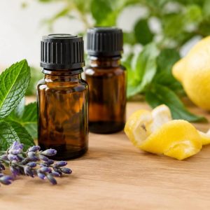 Huiles essentielles contre les fourmis : quelles solutions naturelles choisir ?