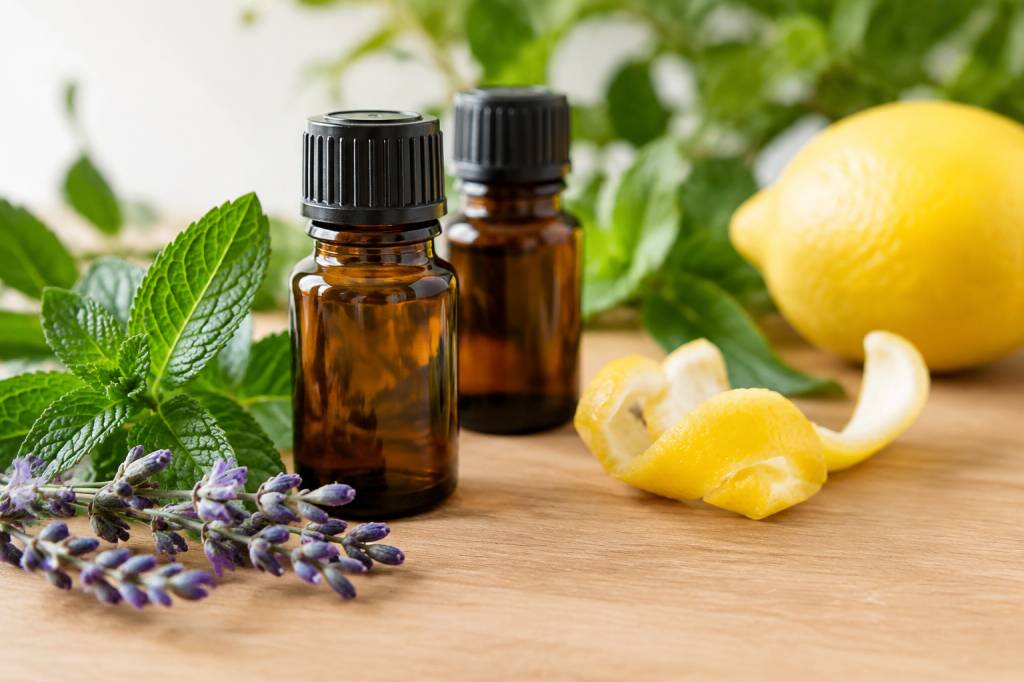 Huiles essentielles contre les fourmis : quelles solutions naturelles choisir ?